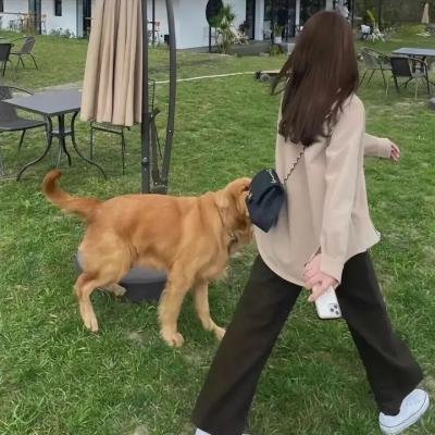 坡道上的红屋顶