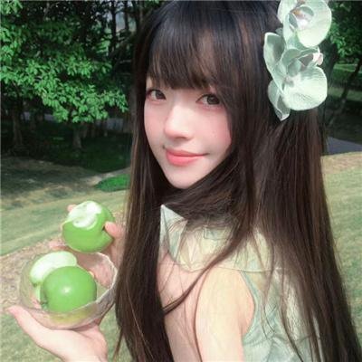 蓬莱龙棺之徐福宝藏